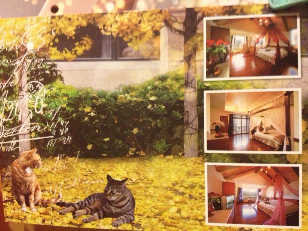 Dream Forest Villa Renai Exterior photo